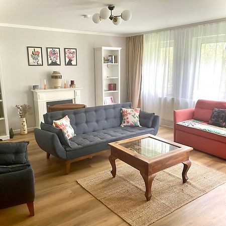 Apartment By The Park, For Bike Lovers Alsfeld Eksteriør billede