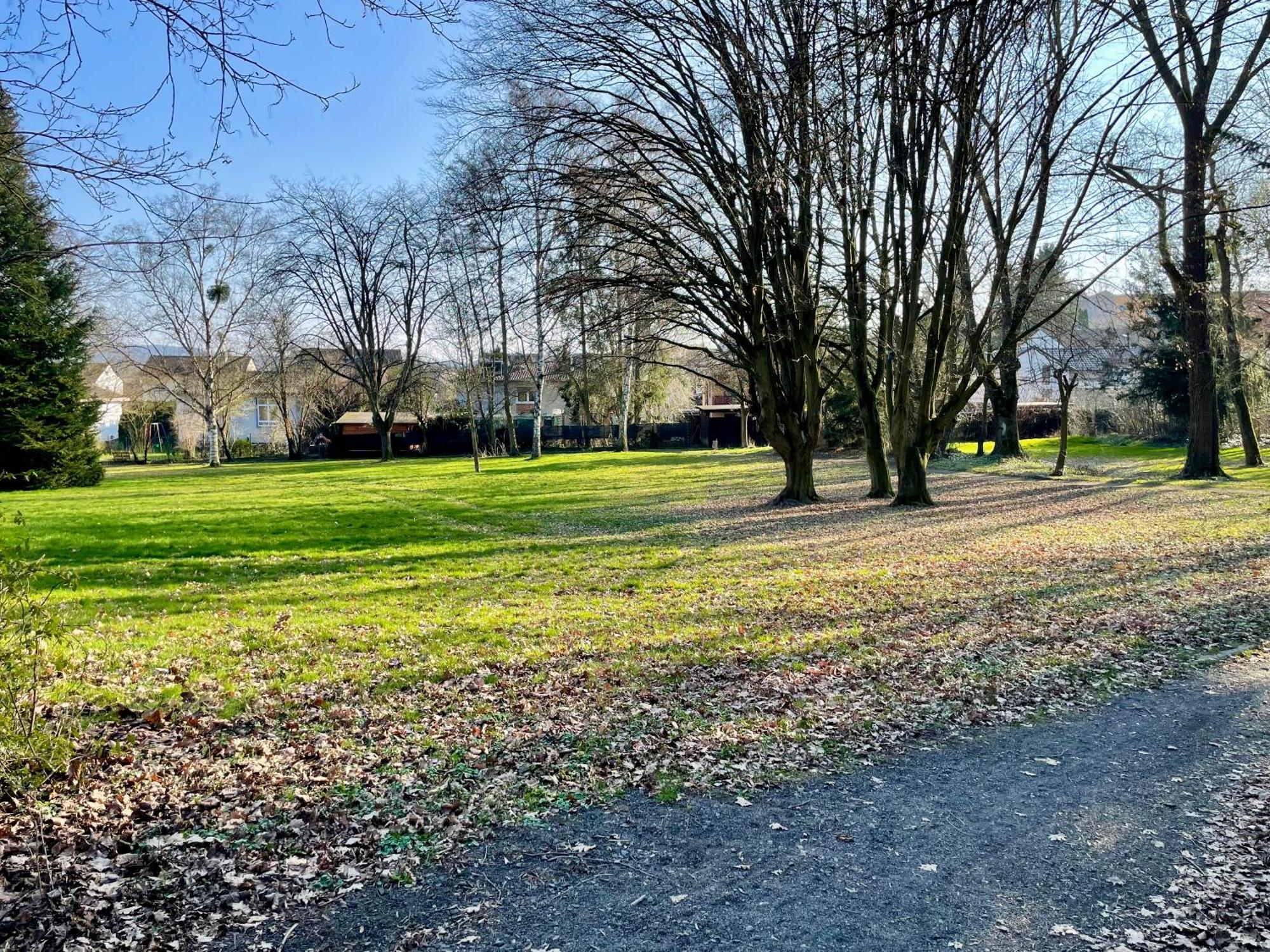 Apartment By The Park, For Bike Lovers Alsfeld Eksteriør billede